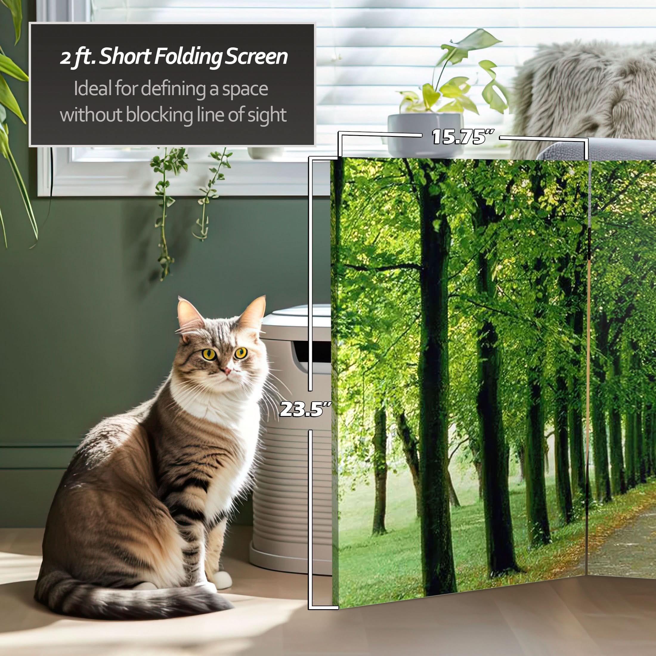 2 ft. Short Double Sided Path of Life Canvas Folding Screen - Image 5