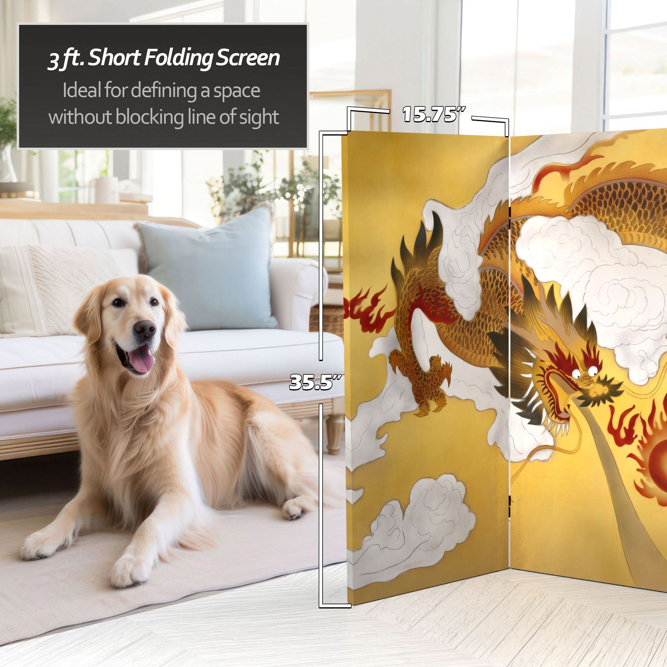 3 ft. Short Double Sided Dragon in the Sky Canvas Room Divider - Image 4