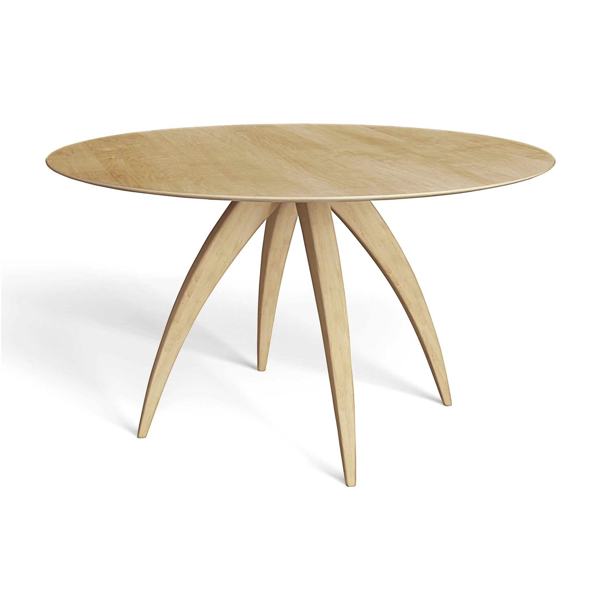 Ella Ellipse Ellipse Dining Table - Image 11