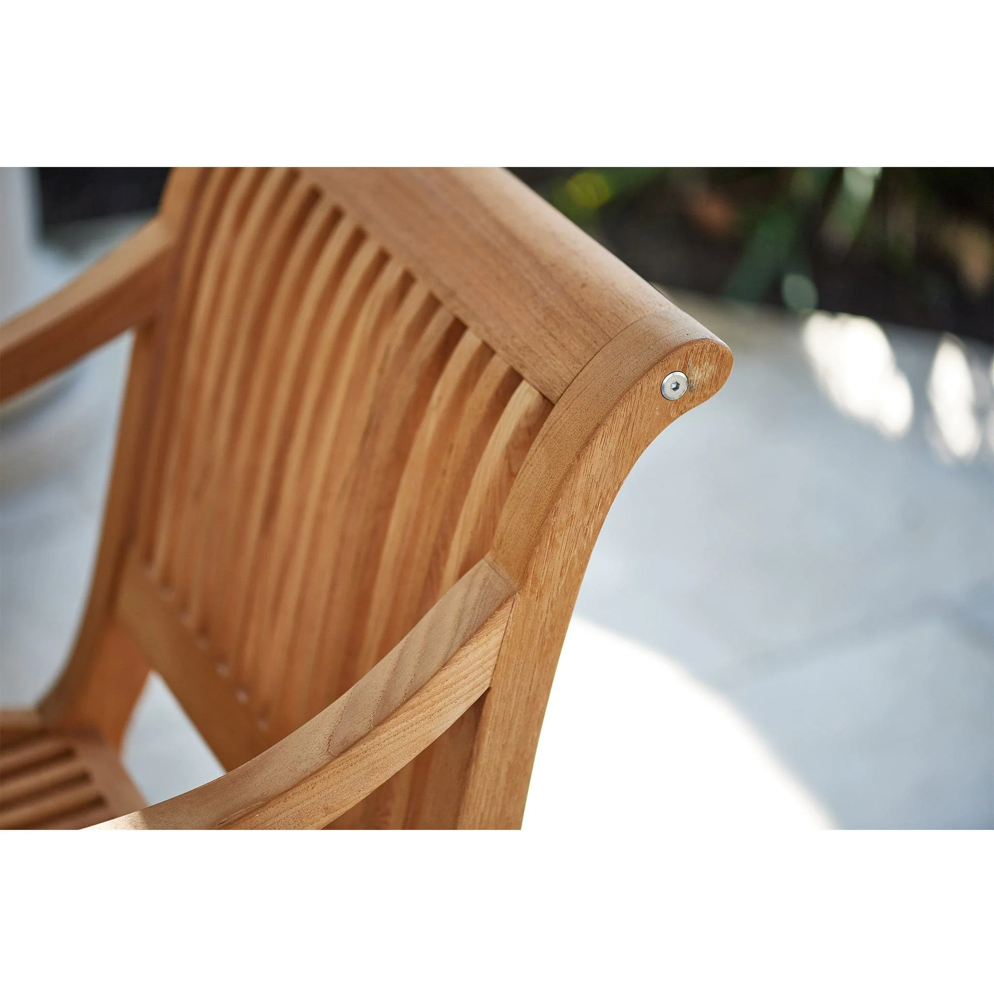Palm Dining Armchair - Image 5