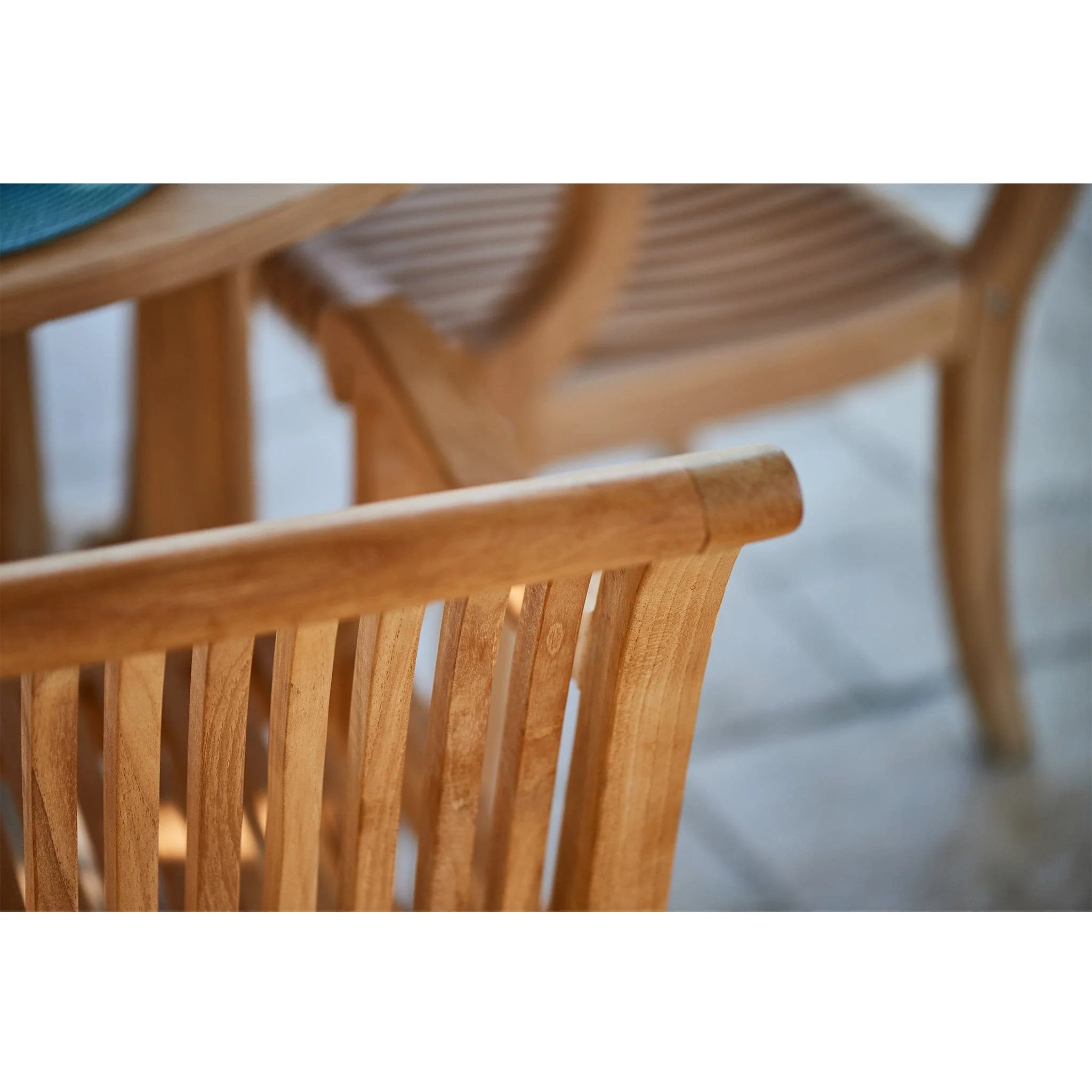 Palm Dining Armchair - Image 6