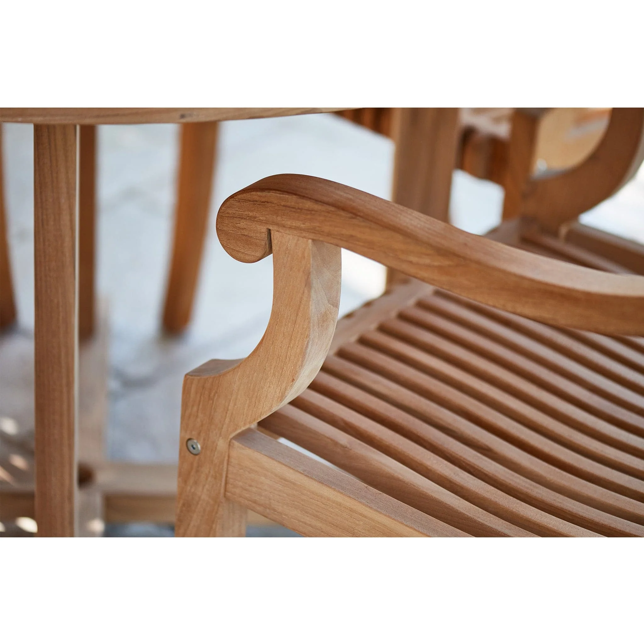 Palm Dining Armchair - Image 7