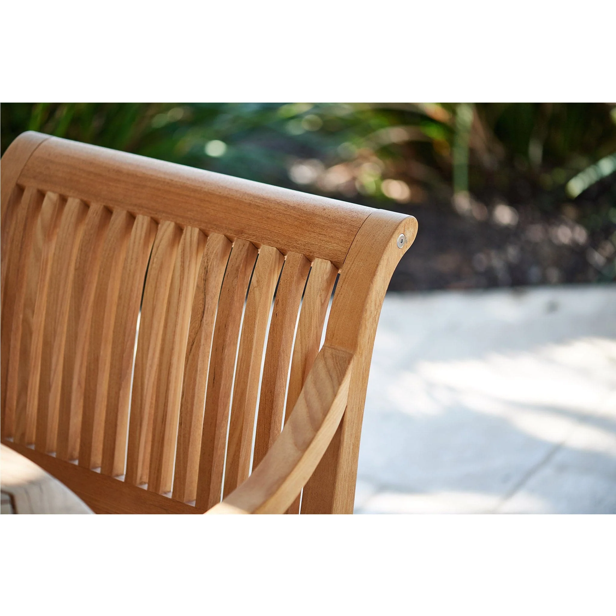 Palm Dining Armchair - Image 8